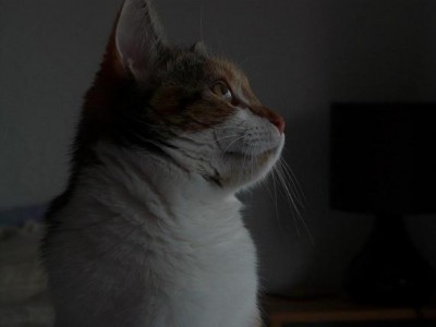 P1000021.JPG