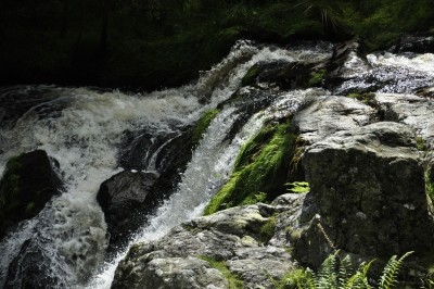 _DSC2961.JPG (439.47 KiB) Przeglądane 10266 razy _DSC2961.JPG