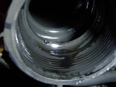 focus 2009 2.jpg