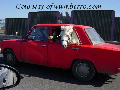 funny_ferrari_picture_horse_red_car.jpg (39.94 KiB) Przeglądane 5722 razy funny_ferrari_picture_horse_red_car.jpg